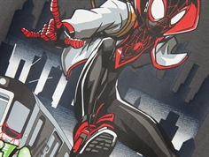 Name It castelrock Spiderman top